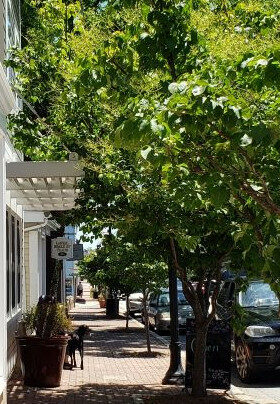 Tree-lined Main Street in Laurel with Board of Trade sign